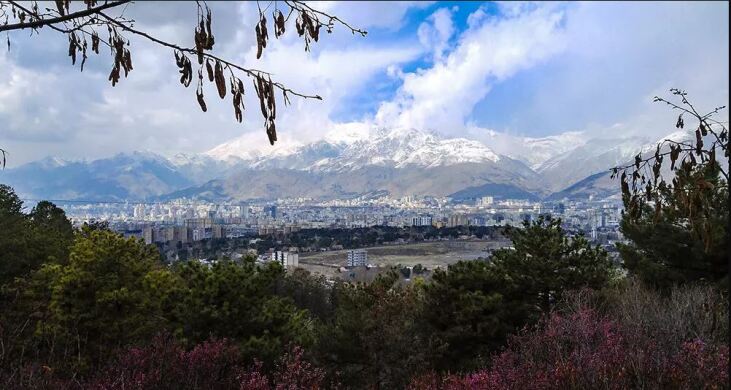  مبل شویی در لویزان (شستشوی انواع مبل فرش و موکت)